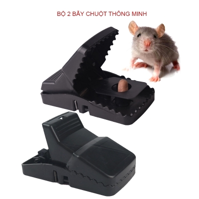 bay chuot thong minh