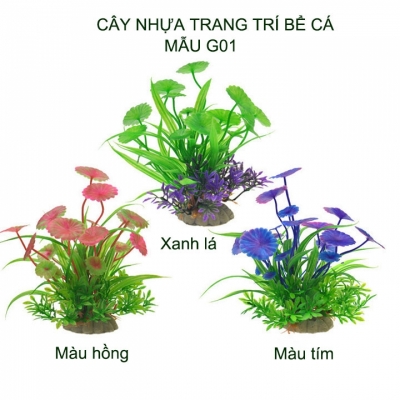 cay nhựa thủy sinh
