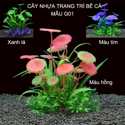 cay thuy sinh nhua