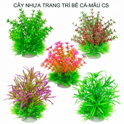 cay thuy sinh bang nhua