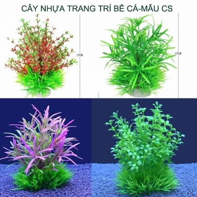 cay nhua thuy sinh