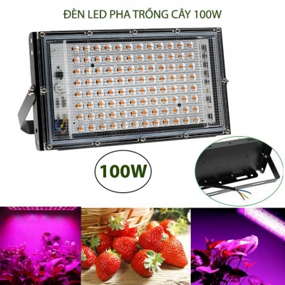 den led pha trong cay