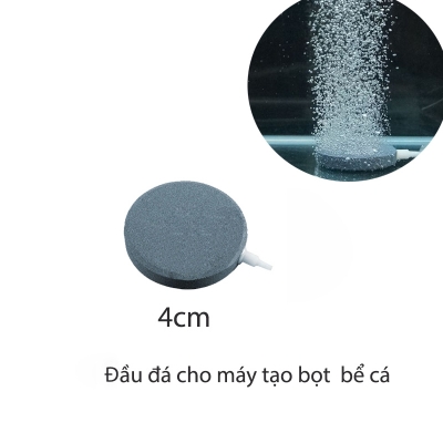 dau sui khi oxy be ca