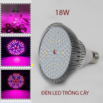 bong den led trong cay 18W