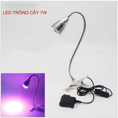 den led trong cay trong nha 7W