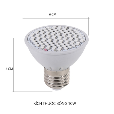 den led trong cay vo nhua