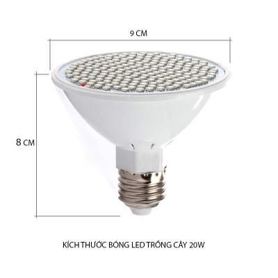 den led trong cay vo nhua