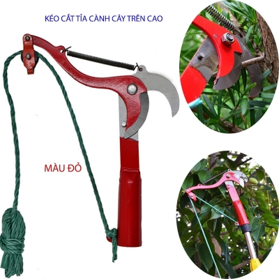 keo cat tia canh cay tren cao