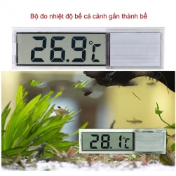 Nhiệt kế đo nhiệt độ bể cá kỹ thuật số trong suốt gắn thành bể